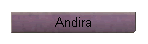 Andira