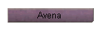 Avena 